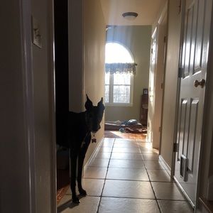 Meet your Posher, Leah